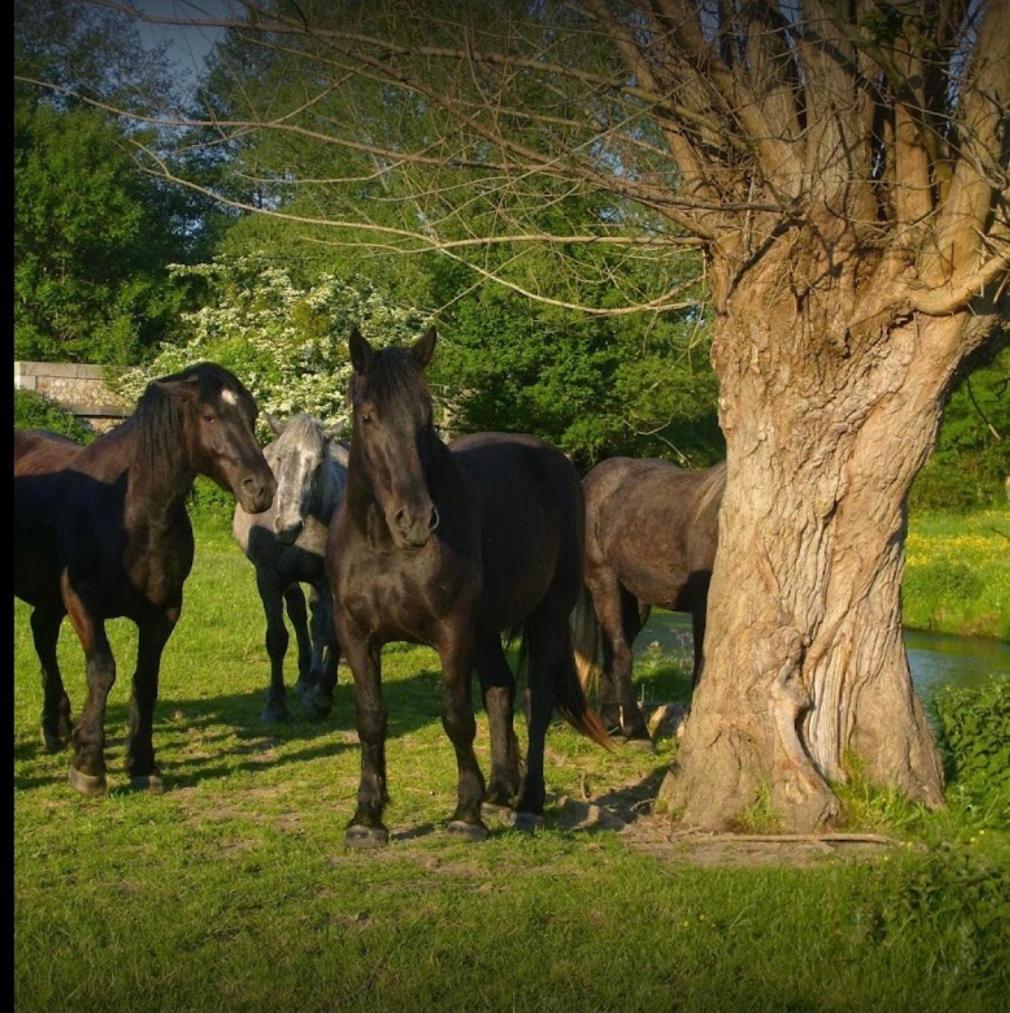 La Meuniere Villa Jouy  Kültér fotó